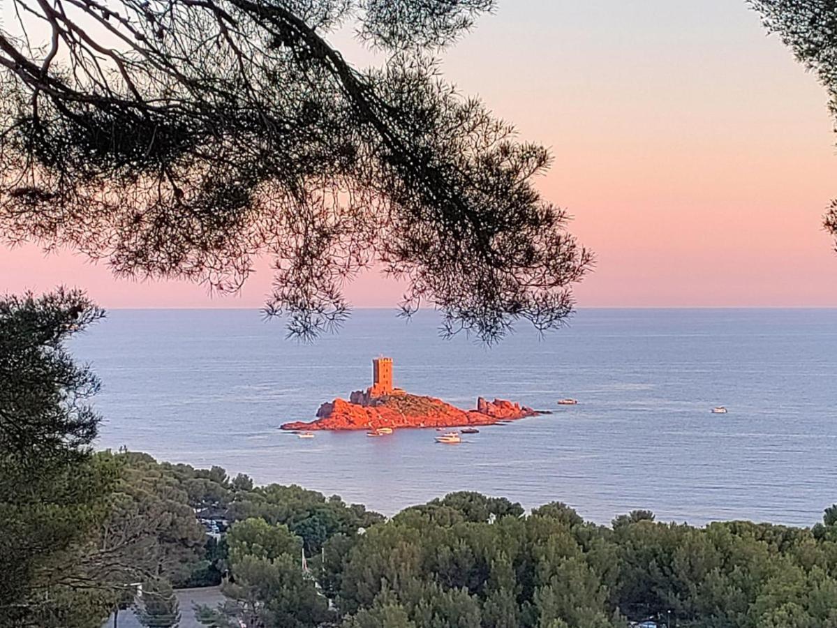 Vacances En Paradis Saint-Raphaël 外观 照片