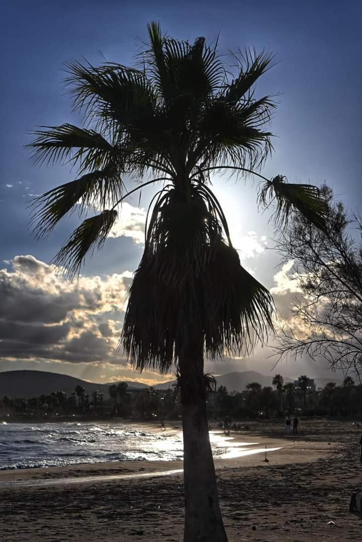 Vacances En Paradis Saint-Raphaël 外观 照片