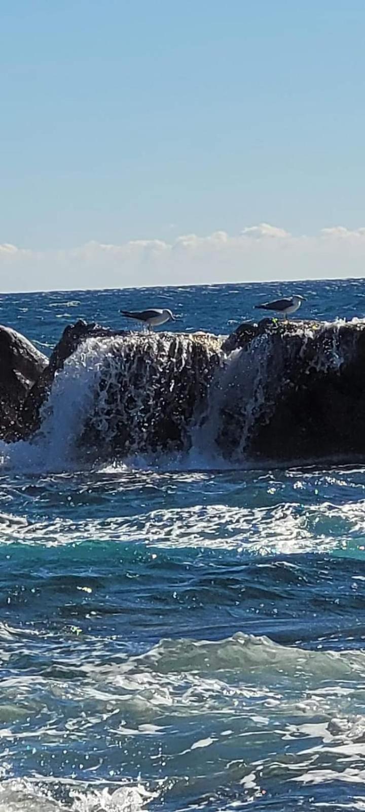 Vacances En Paradis Saint-Raphaël 外观 照片