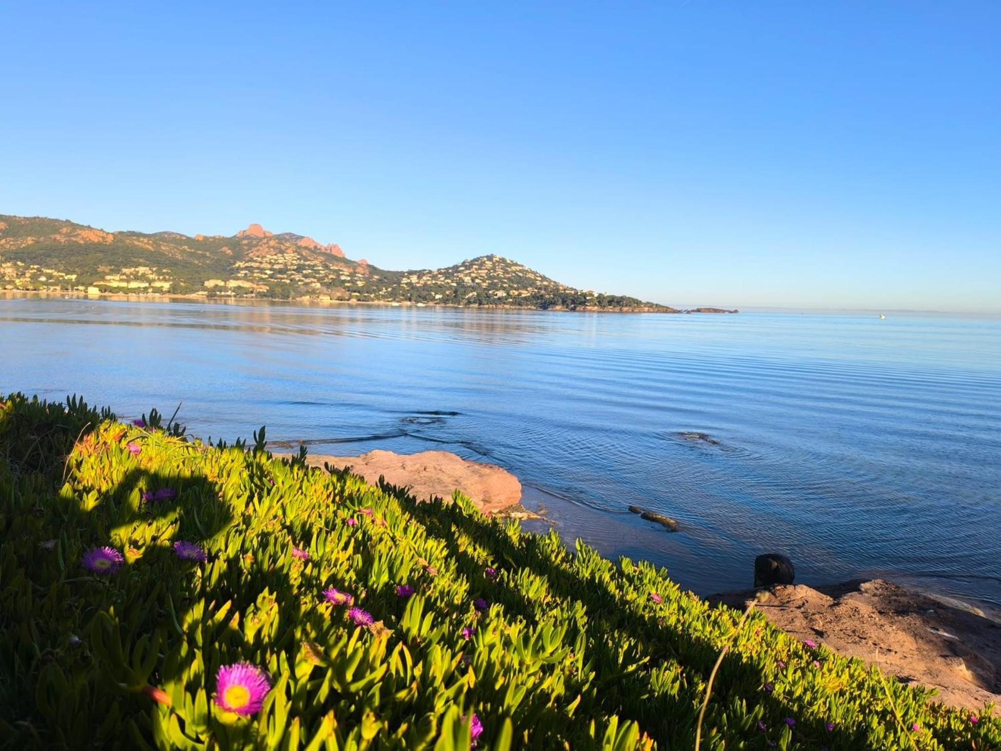 Vacances En Paradis Saint-Raphaël 外观 照片